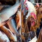 সনাতন ধর্ম অনুসারে মাছ মাংস খাওয়া কি উচিত?